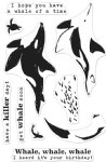 Hero Arts - Clear Stamp - Color Layering Orca