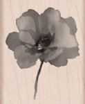 Hero Arts - Wood Stamp - Painted Poppy 