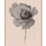 Hero Arts - Wood Stamp - Poppy in Wind