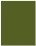 Hero Arts - 8.5X11 Cardstock - Palm