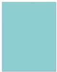 Hero Arts - 8.5X11 Cardstock - Mist
