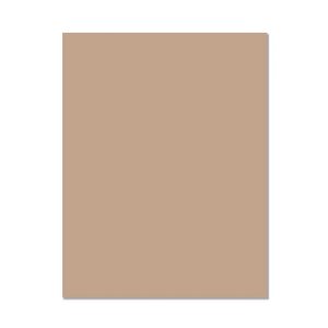 Hero Arts - 8.5X11 Cardstock - Sand