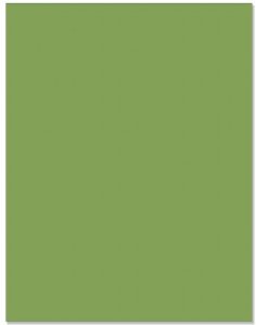 Hero Arts - 8.5X11 Cardstock - Meadow