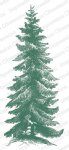 Impression Obsession - Cling Stamp - Norway Spruce