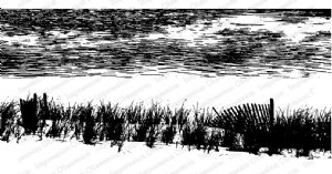 Impression Obsession - Cling Stamp - Water & Sea Oats