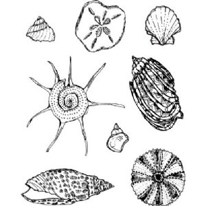 Jane Davenport - Clear Stamp - She Sells Sea Shells