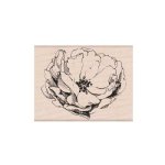 Hero Arts - Wood Stamp - Antique Rose