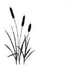 Lavinia - Clear Stamp - Bulrushes