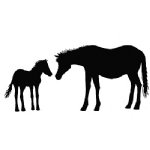 Lavinia - Clear Stamp - Horse and Foal