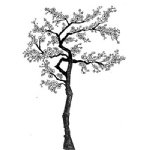 Lavinia - Clear Stamp - Cherry Blossom Tree