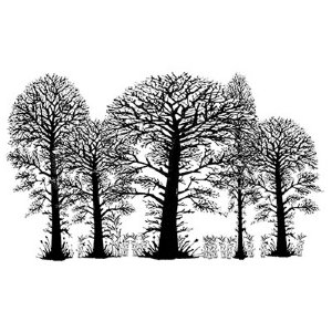 Lavinia - Clear Stamp - Trees