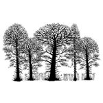 Lavinia - Clear Stamp - Trees