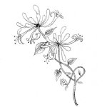 Lavinia - Clear Stamp - Honeysuckle