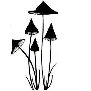 Lavinia - Clear Stamp - Slender Mushrooms Miniature