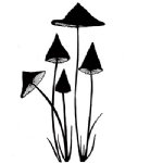 Lavinia - Clear Stamp - Slender Mushrooms Miniature