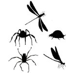 Lavinia - Clear Stamp - Bugs