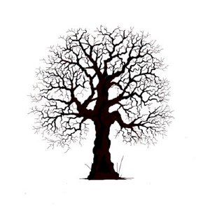 Lavinia - Clear Stamp - Oak Tree