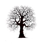 Lavinia - Clear Stamp - Oak Tree