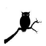 Lavinia - Clear Stamp - Owl