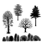 Lavinia - Clear Stamp - Tree Scene