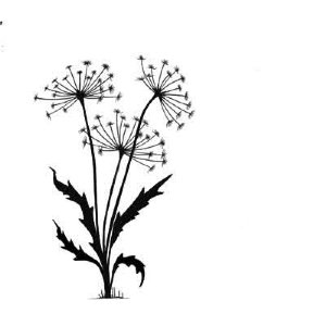 Lavinia - Clear Stamp - Dandelions 2