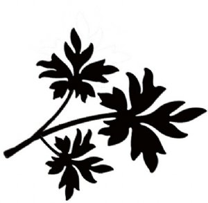 Lavinia - Clear Stamps - Leaf 1 Miniature