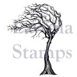 Lavinia - Clear Stamp - Seasonal Tree