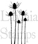 Lavinia - Clear Stamps - Silhouette Thistle