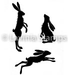 Lavinia Stamps - Clear Stamp - Whimsical Hares