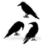 Lavinia - Clear Stamp - Crow Set