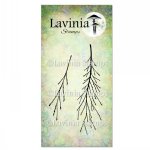 Lavinia - Clear Sta...