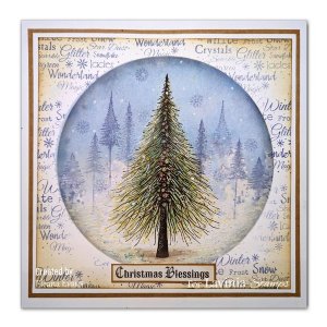 Lavinia - Clear Stamp - Wild Pine