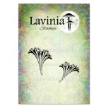 Lavinia - Clear Sta...