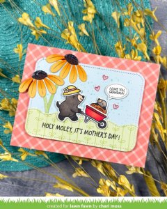 Lawn Fawn - Clear Stamp - A Mole Lot of Flowers