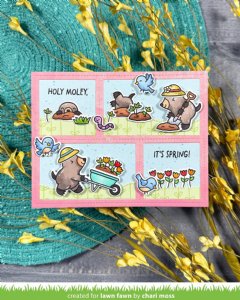 Lawn Fawn - Clear Stamp - A Mole Lot of Flowers