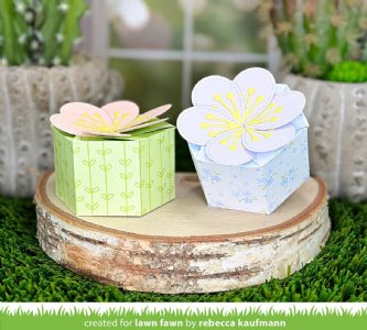 Lawn Fawn - Die - Flower Treat Box