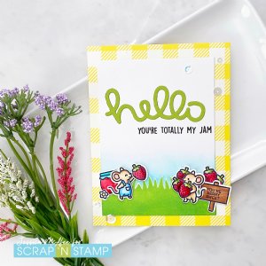 Lawn Fawn - 6X6 Petite Paper Pack - Gotta Have Gingham Rainbow