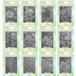 Lisa Horton - 3D Em...