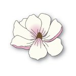 Memory Box - I WANT IT ALL - Magnolia bundle