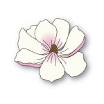 Memory Box - Die - Magnolia Blossom
