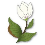 Memory Box - Die - Magnolia Floral Stem