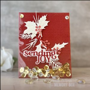 Memory Box - Die - Sending Joy Timeless Script