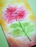 Memory Box - 3D Embossing Folder - Magnificent Poinsettia