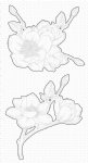 My Favorite Things - Dies - Magnolia Blossoms
