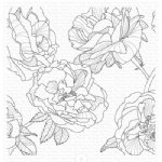 MFT - Cling Stamp - Fanciful Roses Background