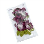 49 and Market - Florets - Plum