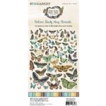 49 and Market - Vintage Artistry Nature Study - Wings