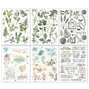 49 and Market - Vintage Artistry Nature Study - 6X8 Rub-on Transfer Set - Foliage