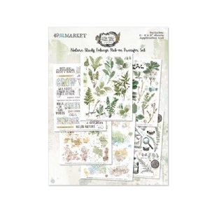 49 and Market - Vintage Artistry Nature Study - 6X8 Rub-on Transfer Set - Foliage