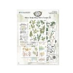 49 and Market - Vintage Artistry Nature Study - 6X8 Rub-on Transfer Set - Foliage